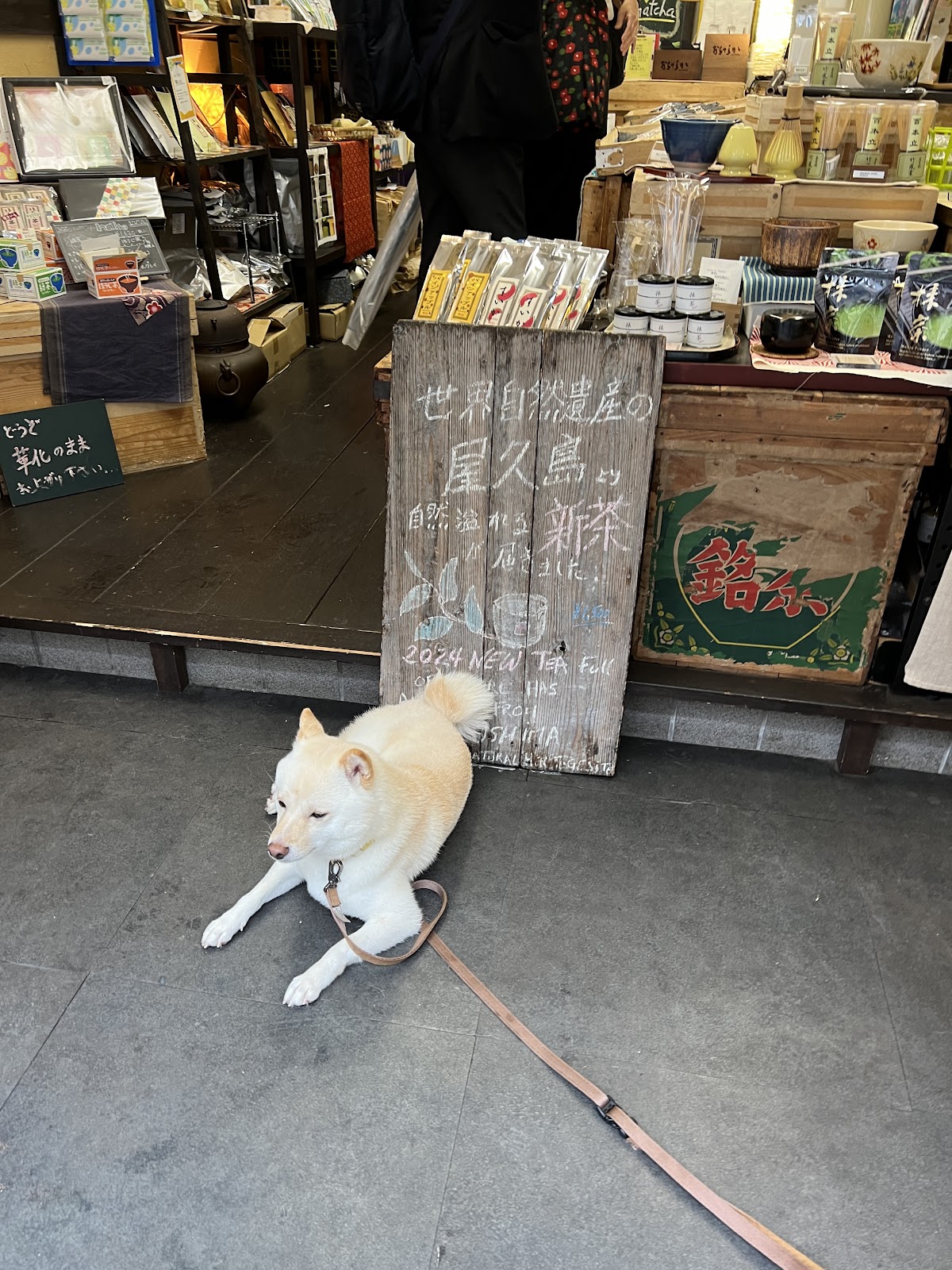 OCHARAKA thumbnail 8