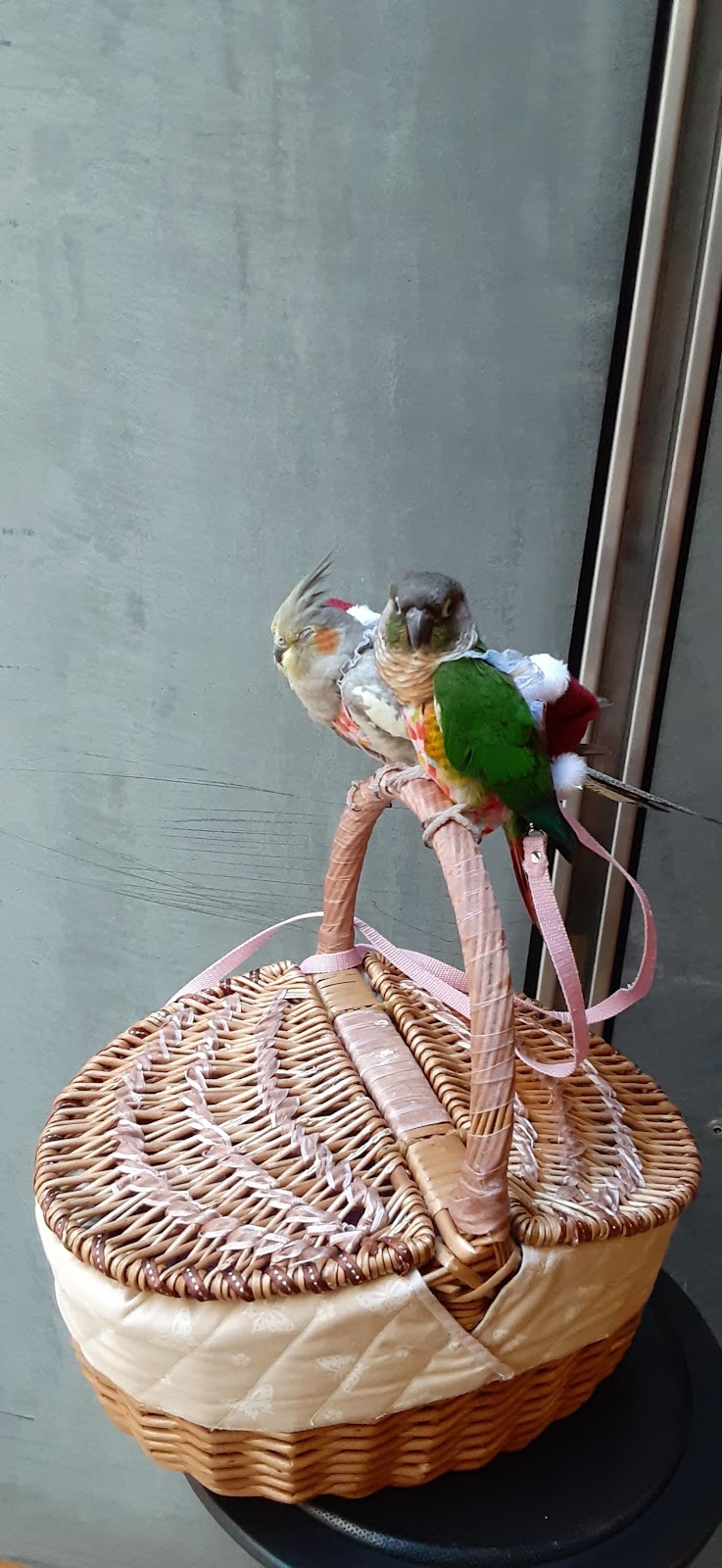 Cha Ginza Uogashimeicha Ginza thumbnail 14