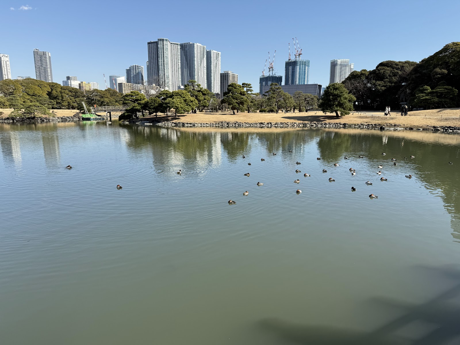 Nakajima Tea House thumbnail 7