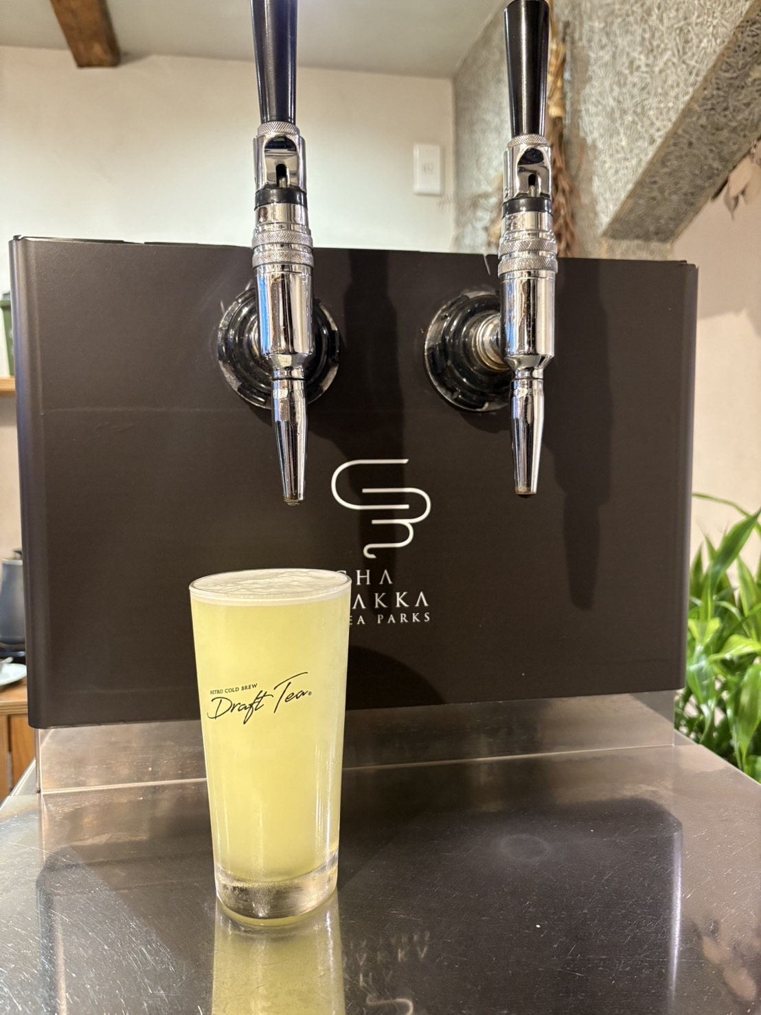 CHABAKKA TEA PARKS thumbnail 5