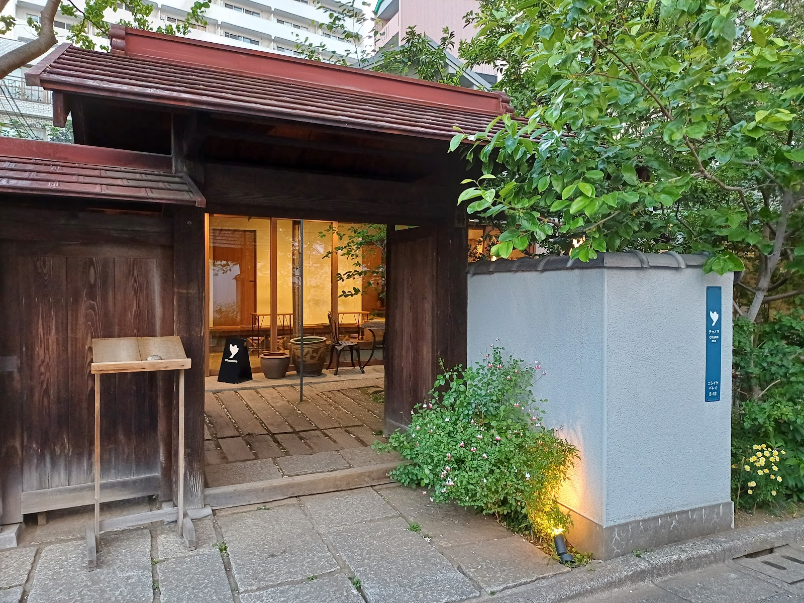 Chanoma thumbnail 17