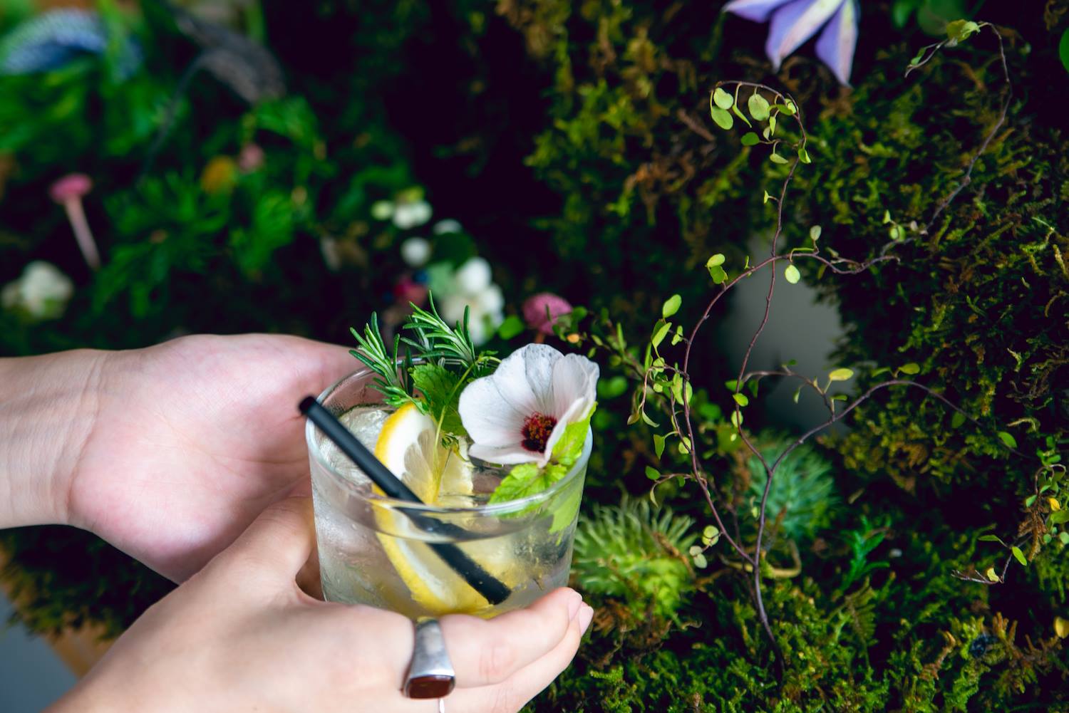 Tokyo Saryo thumbnail 14