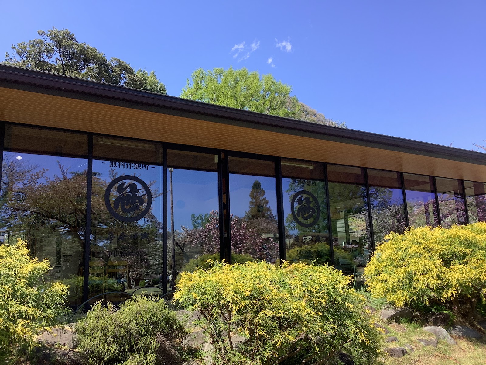 SASAYAIORI+ Shinjuku Gyoen National Garden thumbnail 13