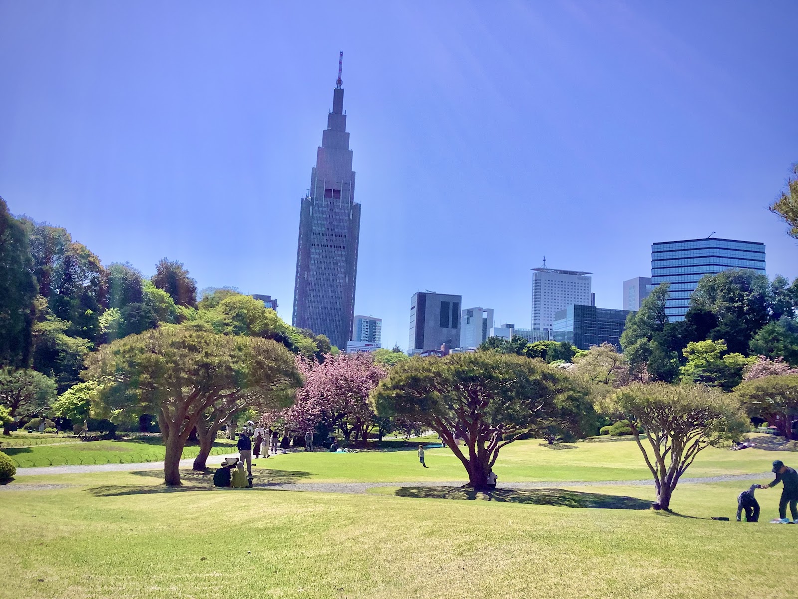 SASAYAIORI+ Shinjuku Gyoen National Garden thumbnail 14