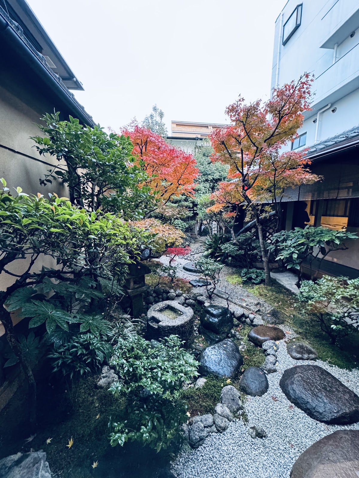 THE TERMINAL KYOTO thumbnail 16